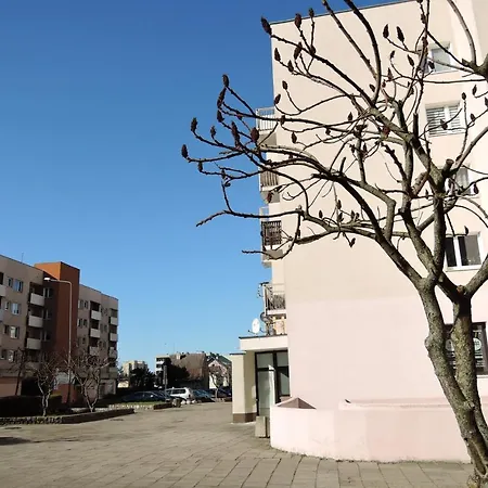 Apartment Citycorner *